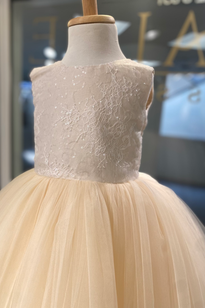 Amalee Couture - The Arya Girls Dress