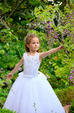 1st Communion Girls Birthday Flower Girl Lace And Tulle Toddler Dress