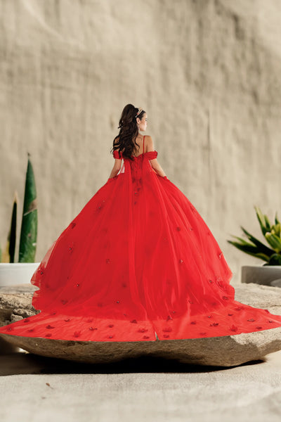 Lilac & Red Quinceañera Ball Gown with Floral Appliqué