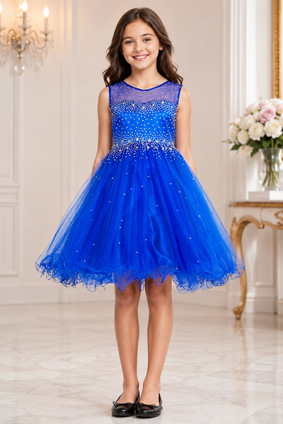 Girls Pageant Dress Affordable Party Dress Illusion Neck Blush Collection