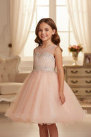 Girls Pageant Dress Affordable Party Dress Illusion Neck Blush Collection