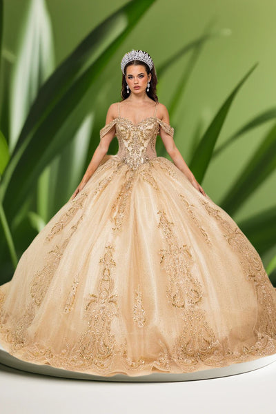 Aurielle Royale Gold Quinceañera Gown – Elegant Ballgown Dress