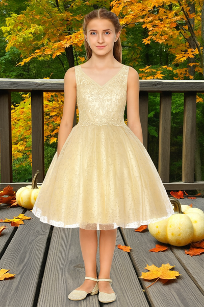 Sophia Blush Pink Glitter Party Dress for Girls