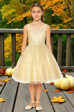 Sophia Blush Pink Glitter Party Dress for Girls