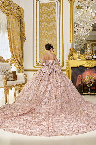 Vionessa Luxury Quinceañera Dress | Queens Collection