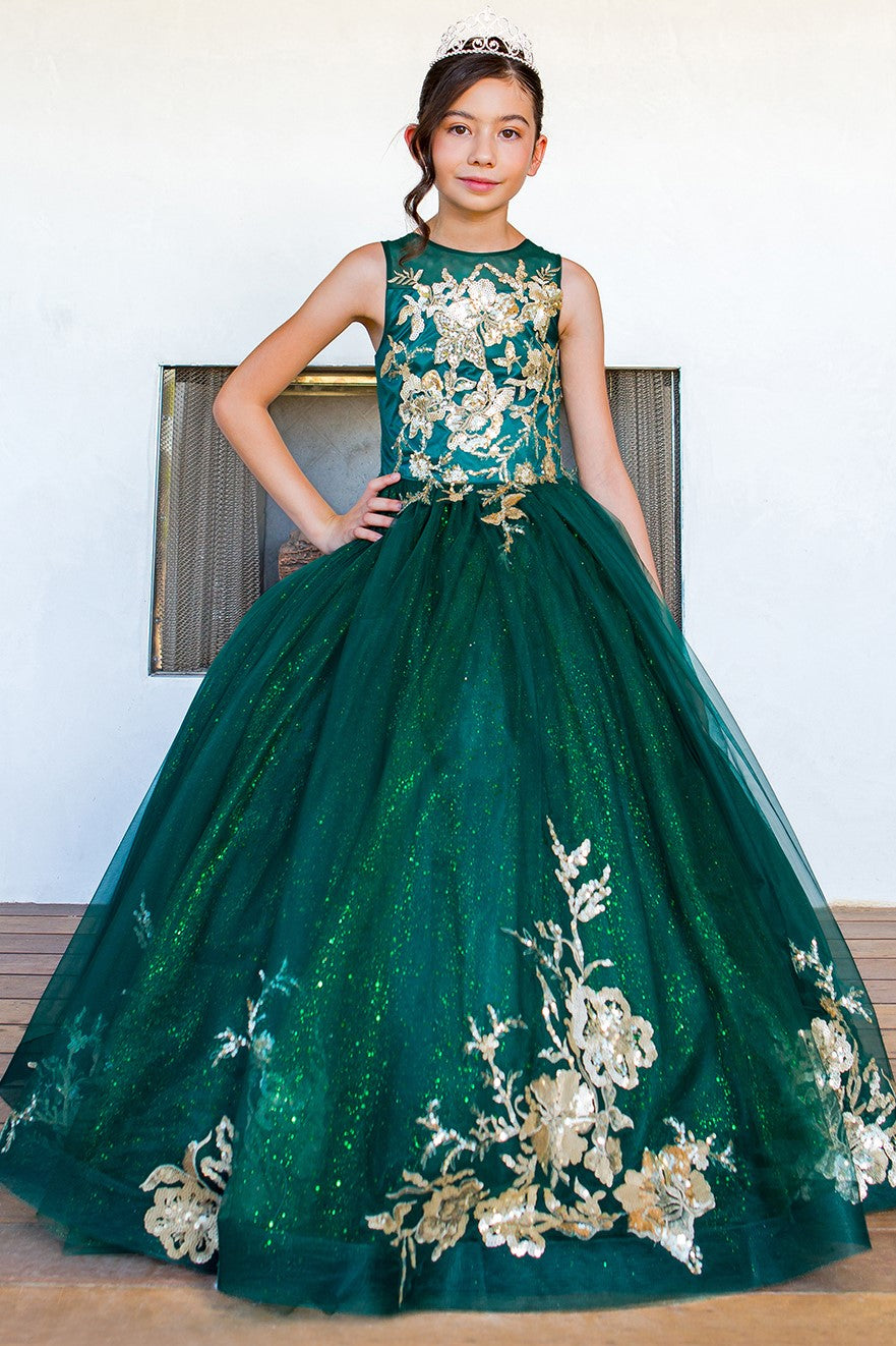 Mini Quince Princess Flower Girl Pageant Floral Embroidered Illusion Party Gown