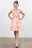 Blush Princess Layered Party Dress – Perfect for Birthdays & Pageants