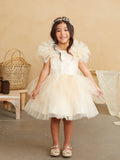 Marianna Girls Glitter Tulle Party Pageant Dress