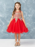 Teen Pageant Dress With Luxurious Gold Lace Overlay