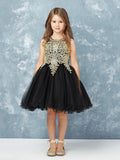 Teen Pageant Dress With Luxurious Gold Lace Overlay
