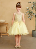 Ophelia Girls Cupcake Tulle Pageant Dress