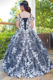 Anahi Black Lace Ball Gown - Elegant Special Occasion Dress