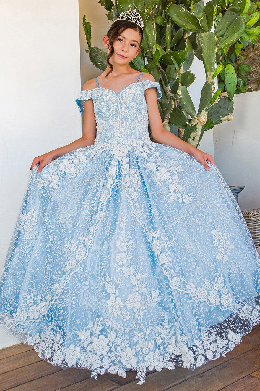 Tween Girls Floral 3D Embroidered Glitter Pageant Flower Girl Party Gown