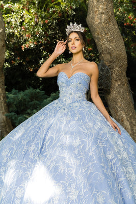 Celeste Glitter Lace Quinceañera Gown | Blush Collection