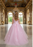 Pink Embroidered Tulle Pageant & Flower Girl Dress | Blush Kids
