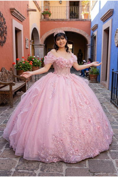 Floral Quinceañera Ball Gown | Blush Quinceañera Collection