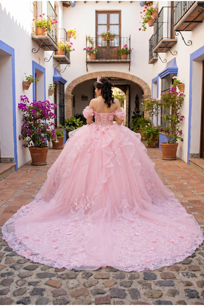 Floral Quinceañera Ball Gown | Blush Quinceañera Collection
