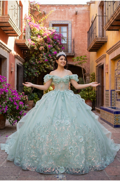 Floral Quinceañera Ball Gown | Blush Quinceañera Collection