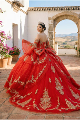 Reina Royale Luxury Quinceañera Ball Gown | Blush Quinceanera Collection
