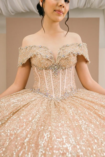 Sparkling Quinceañera Ball Gown | Blush Quinceañera Collection