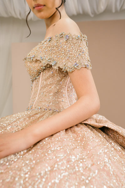 Sparkling Quinceañera Ball Gown | Blush Quinceañera Collection