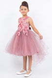 Silver Girls Hi Low Pageant Dress with Floral Lace