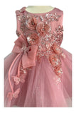 Crystal Tulle Baby Pageant Dress with 3D Flowers