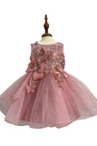 Crystal Tulle Baby Pageant Dress with 3D Flowers