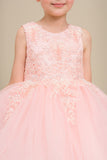 Lily Belle Girls Short Floral Applique Tulle Dress | Blush Kids