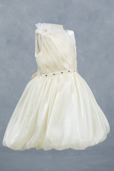 Baby Girl Party Dress Flower Girl Special Occasion