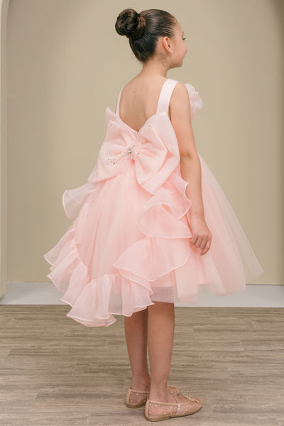 Girls Blush Flower Girl Dress – Celestina