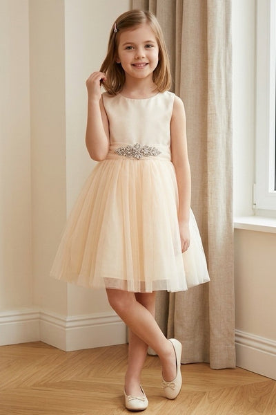 Elara Sky Special Occasion Dress for Girls