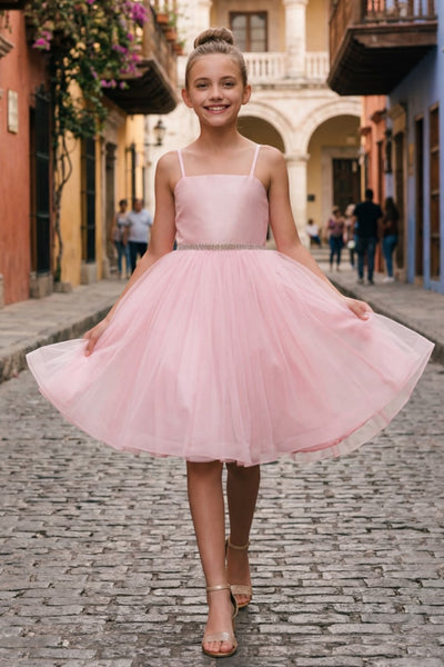 Girls Pageant Dress Tulle Party Dress Multi Layered Special Occasion