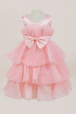Baby Tiered Ruffle Special Occasion Dress