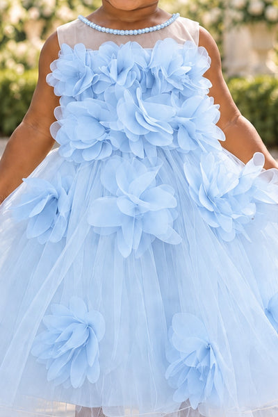 Blush Collection Baby Girl 3D Floral Special Occasion Dress