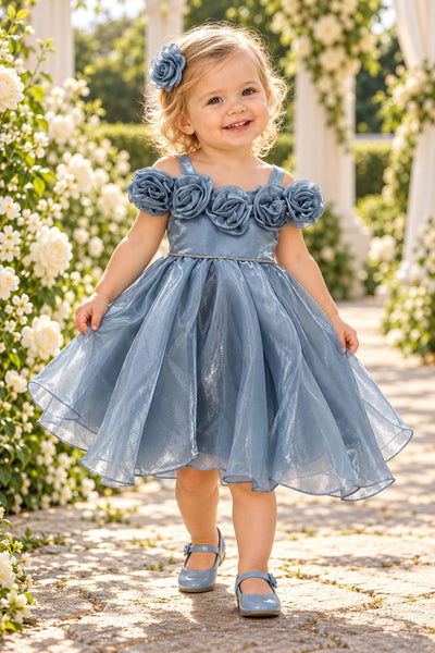 Baby Girls Rose Special Occasion Dress | Blush Collection