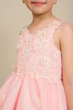 Blush Hi Low Flower Girl Dress with Lace Butterflies