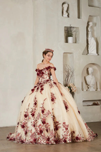 Arabella Noire Gown | Princess Collection Quinceañera Dress