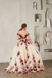 Arabella Noire Gown | Princess Collection Quinceañera Dress