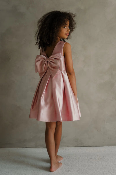 Maribel Teter Warm Girls Blush Pink Bow Party Dress