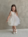Annelise Rose Pale Pink Lace & Tulle Baby Dress