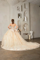 Samara Blush Pink Quinceañera Dress – Princess Collection