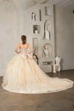 Samara Blush Pink Quinceañera Dress – Princess Collection