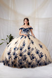 Arabella Noire Gown | Princess Collection Quinceañera Dress