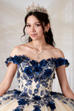 Arabella Noire Gown | Princess Collection Quinceañera Dress