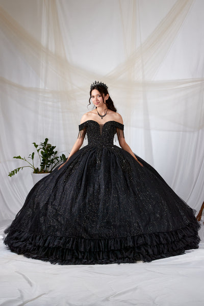 Black Glitter Ball Gown | Princess Collection Dress Black / 3XL Black Glitter Ball Gown | Princess Collection Dress Black / 3XL