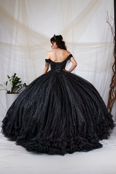 Black Glitter Ball Gown | Princess Collection Dress