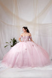 Alessandra Bloom Pink Princess Ball Gown | Quinceañera Dress