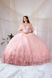 Zarina Pink Butterfly Quinceañera Dress | Princess Ballgown