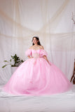 Ariyana Midnight Gown | Princess Collection Quinceañera